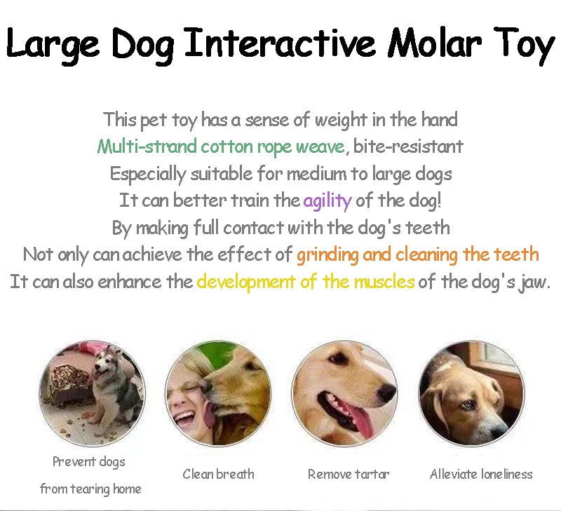 Hundespielzeug Karotte – Baumwoll-Kauspielzeug für Welpen & Hunde – Zahnpflege & Beschäftigung – Bissfest & geflochten