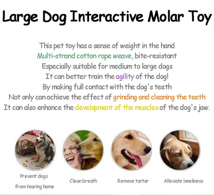 Hundespielzeug Karotte – Baumwoll-Kauspielzeug für Welpen & Hunde – Zahnpflege & Beschäftigung – Bissfest & geflochten