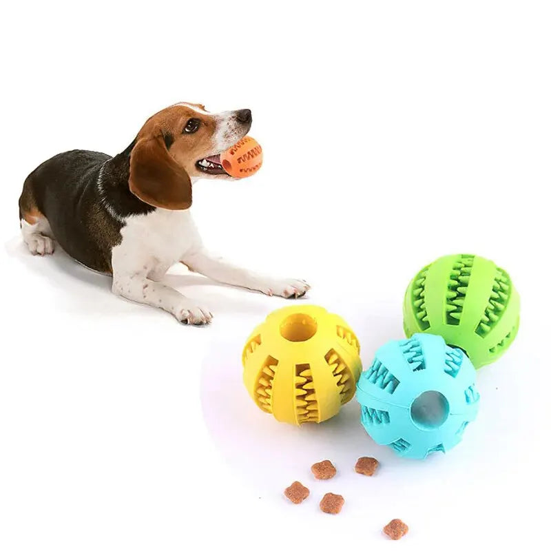 Hundespielzeug-Ball – Zahnpflege & Snackball – Beißfest & ungiftig – Für Hunde, Welpen & Katzen