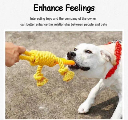 Hundespielzeug Karotte – Baumwoll-Kauspielzeug für Welpen & Hunde – Zahnpflege & Beschäftigung – Bissfest & geflochten